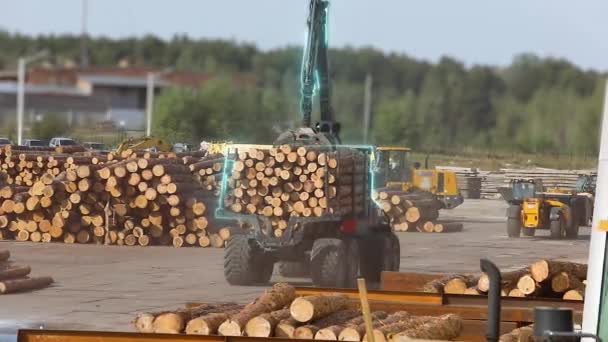 Auto Mit Manipulator Arm Lädt Baumstämme Moderne Ausstattung Der Holzfabrik — Stockvideo