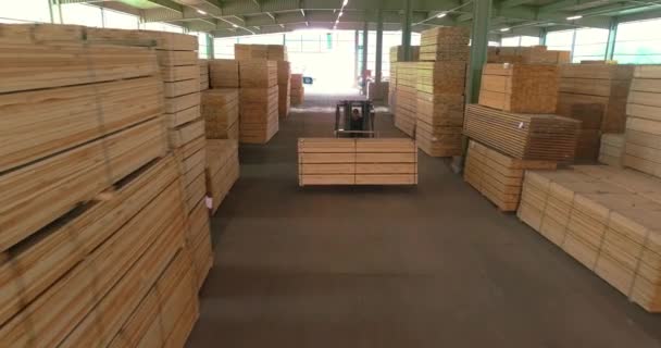 叉车在木堆上滑行 木材厂的现代技术木材场中的人工智能 — 图库视频影像