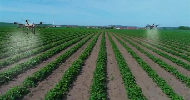 Tarımdaki Dronları Tarlaları Ilaçlamak Için Kullanıyorlar Tarım Ları Tarım Ları — Stok video