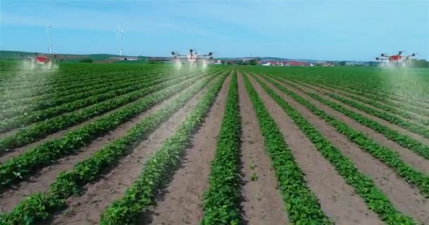畑を噴霧する農業用ドローンを使用しています 農業用ドローン 農業用ドローン ドローンを噴霧ミステリー 農地を耕す — ストック動画
