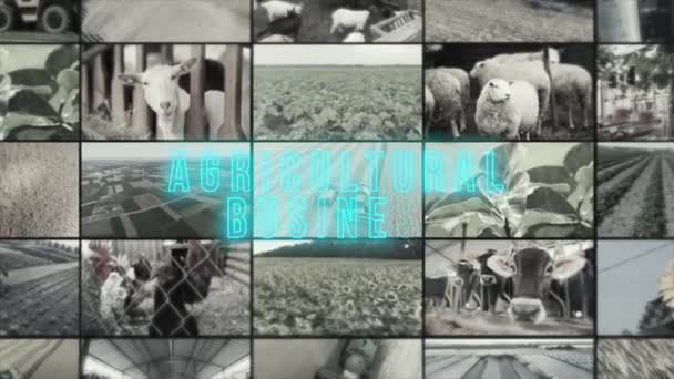 Agriculture Inscription Agriculture Infographics Agricultural Video Collage — Stock Video