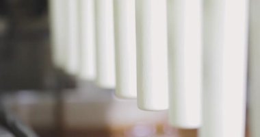 Ice cream is dipped in chocolate. Ice cream factory. Ice cream in chocolate glaze.