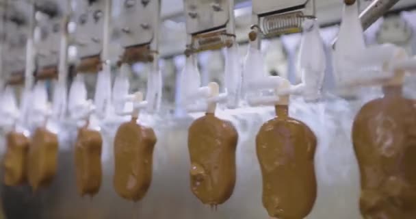 Ice Cream Chocolate Conveyor Line Production Ice Cream Stick Automated — Stockvideo