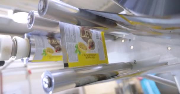 Ijs Verpakking Cellofaan Verpakking Van Ijs Automatische Transportband Een Voedselfabriek — Stockvideo
