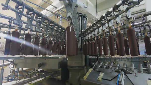 Automated Conveyor Line Production Ice Cream Automated Production Ice Cream — Stock Video
