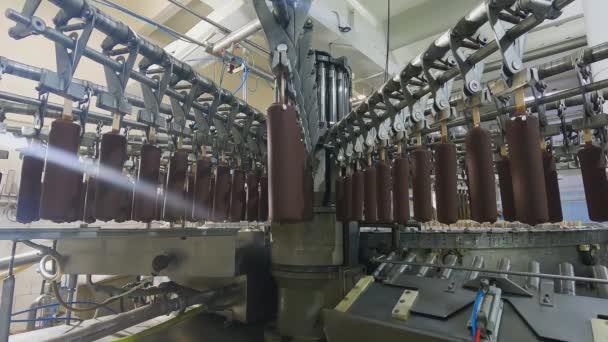Automated Conveyor Line Automated Production Ice Cream Modern Ice Cream — Vídeo de Stock