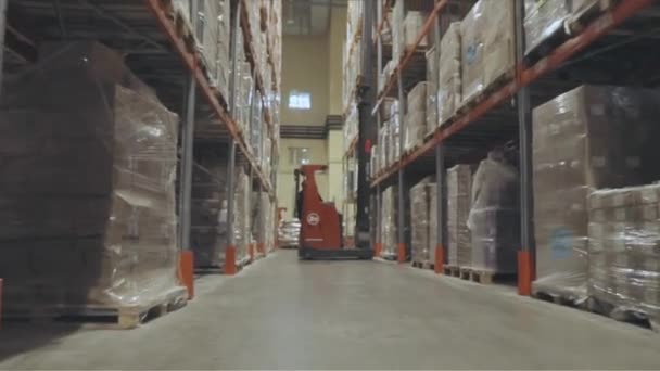 Forklift Driving Large Warehouse Moving Modern Warehouse Large Modern Warehouse — Stock videók