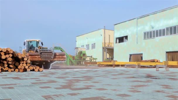 Traktor Transportiert Stämme Durch Das Gelände Des Sägewerks Moderner Sägewerkhof — Stockvideo
