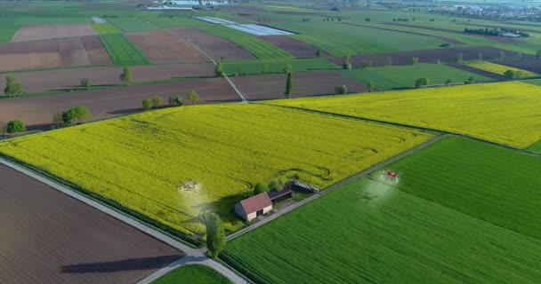 Mezőgazdaságban Dolgozó Drónokkal Permeteznek Mezőket Agrár Drónok Mezőgazdaságban Agro Drónok — Stock videók
