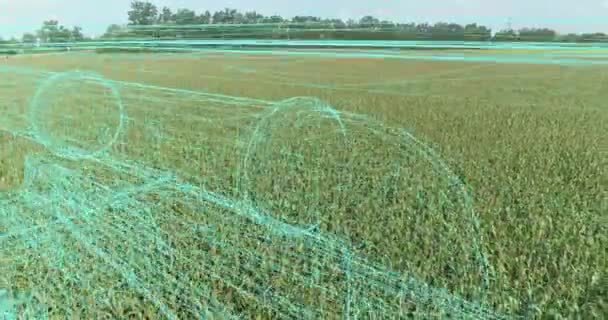Tarım Sektörü Konsepti Hasat Makinesini Alan Görselleştirmesinde Birleştirin Tarım Alanında — Stok video