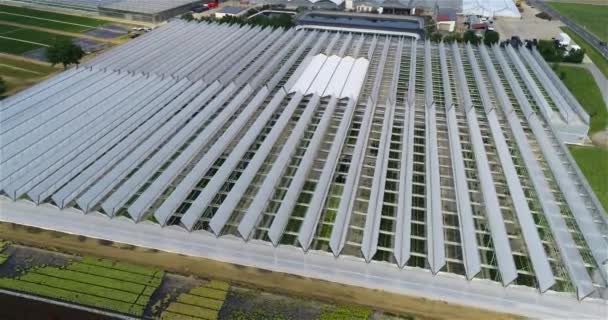 Flight Large Greenhouse Growing Vegetables Greenhouses Large Modern Greenhouse Greenhouses — Stock Video