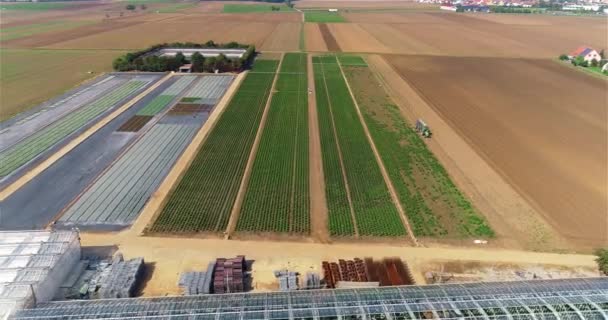 Büyük Bir Sera Kompleksi Modern Seralar Üzerinde Uçuş Tarım Kompleksi — Stok video