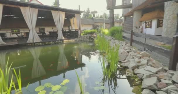 観賞用の池にあった日本の古井 池のゴールデンコイ — ストック動画