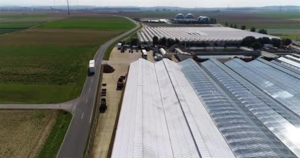 Flug Über Ein Großes Gewächshaus Gemüseanbau Gewächshäusern Großes Modernes Gewächshaus — Stockvideo