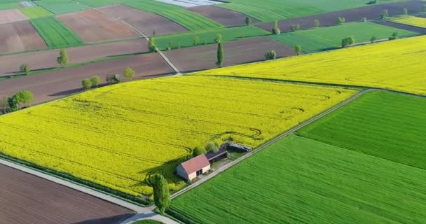 Flug Über Grüne Agrarfelder Flug Über Schöne Landwirtschaftliche Felder Landwirtschaftliche — Stockvideo