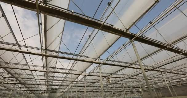 现代技术温室的屋顶 温室屋顶自动开启 从内部看现代温室 — 图库视频影像