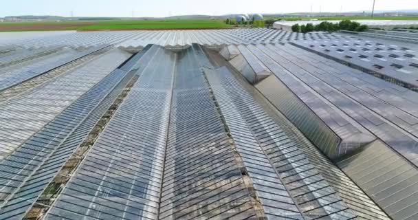 飞越一个大温室 在温室里种植蔬菜 巨大的现代温室 绿屋鸟瞰 — 图库视频影像