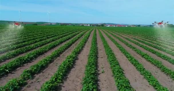 Utiliser Des Drones Agriculture Pour Pulvériser Les Champs Agro Drones — Video