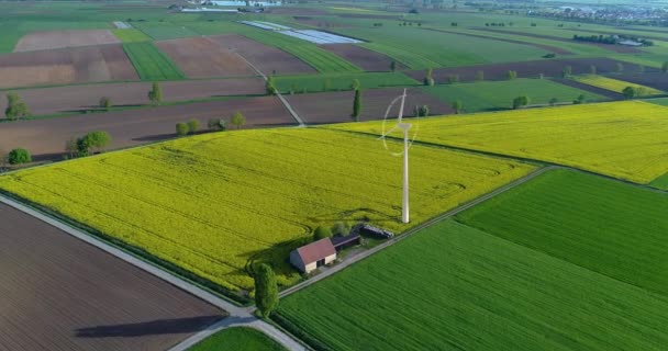 Windgenerator Windgeneratoren Hernieuwbare Elektriciteit Wind Generator — Stockvideo