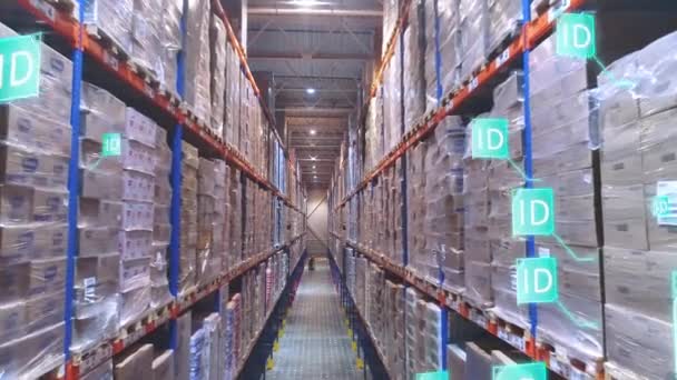 近代的な倉庫コンセプト 近代的な工場の大規模な倉庫 近代的な倉庫の可視化 工場倉庫の人工知能 — ストック動画