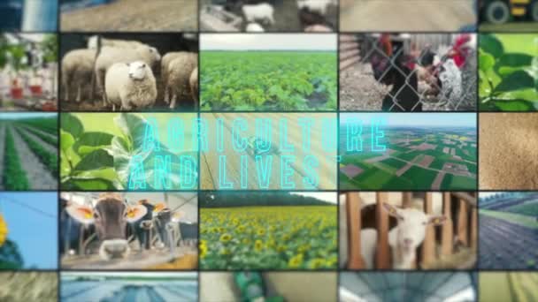 Nápis Zemědělských Společností Infografie Zemědělských Společností Zemědělské Společnosti Multiscreen — Stock video