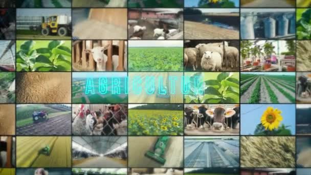 Inscripción Innovación Agricultura Innovación Infografía Agrícola Innovación Agricultura Multipantalla — Vídeos de Stock