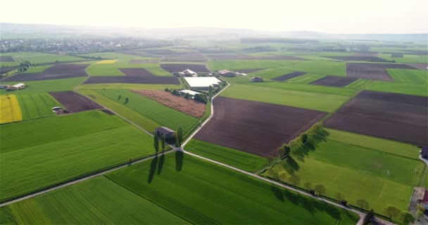 Vuelo Sobre Campos Agrícolas Verdes Vuelo Sobre Hermosos Campos Agrícolas — Vídeos de Stock