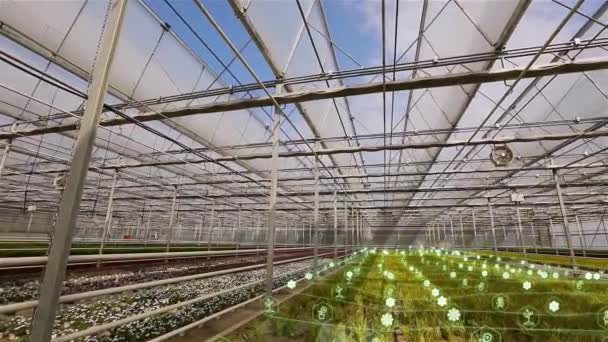 Smart Greenhouse Control Parameters Greenhouse Smart Greenhouse Concept Flowers — Vídeo de Stock
