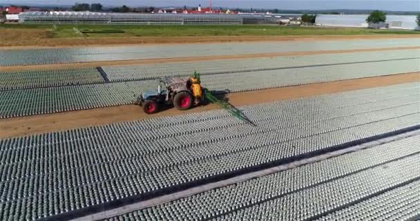 Sprutväxter Gården Traktor Behandlar Växter Gården Jordbruksutrustning Modern Gård — Stockvideo