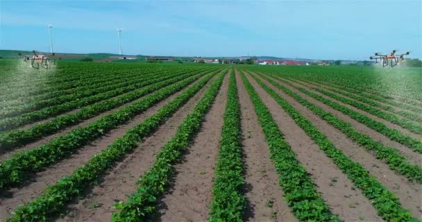 Používání Dronů Zemědělství Postřiku Polí Agro Drony Zemědělství Agro Drony — Stock video