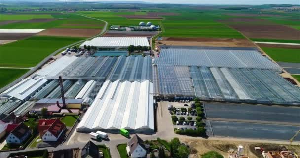 大きい温室複合体 近代的な温室の上を飛ぶ 農業団地 成長する植物 空中風景 — ストック動画