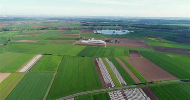 緑の農地を飛び越える 美しい農業分野を飛行します 農地と温室の空中風景 — ストック動画