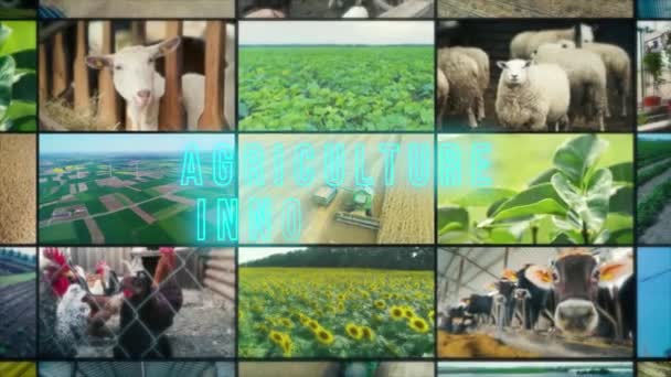 Inscripción Innovación Agrícola Infografías Innovación Agrícola Agricultura Innovación Multipantalla — Vídeo de stock