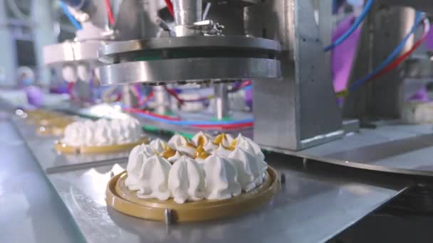 아이스크림의 아이스크림 케이크만드는 자동화 컨베이어입니다 밖으로 아이스크림 — 비디오