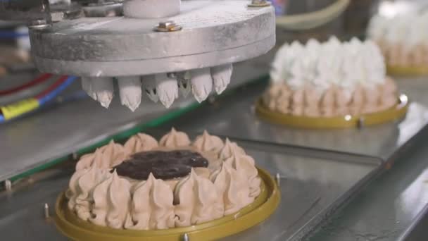 Automated Production Ice Cream Automated Conveyor Creating Ice Cream Cake — стоковое видео
