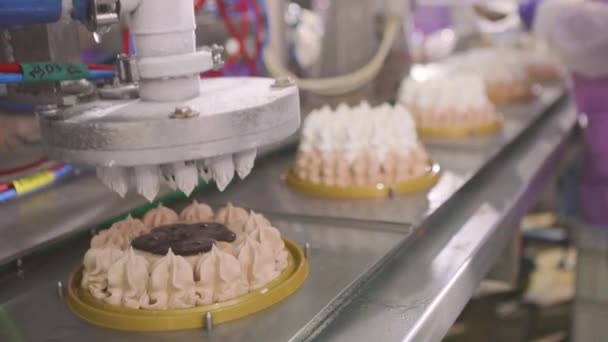 아이스크림의 아이스크림 케이크만드는 자동화 컨베이어입니다 밖으로 아이스크림 — 비디오