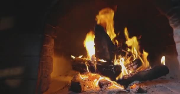 Wood Stove Wood Burning Stove Traditional Wood Burning Stove Fire — Stock Video
