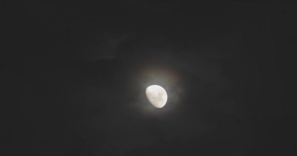 Fényes Hold Éjszakai Égen Lebegő Felhők Hátterében Telihold Égen Lebegő — Stock videók
