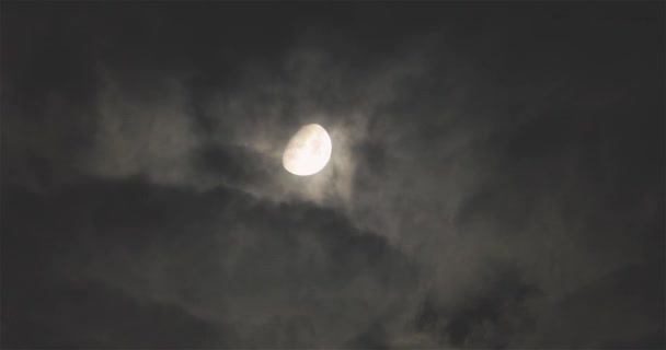 Luminosa Luna Nel Cielo Notturno Sullo Sfondo Nuvole Fluttuanti Luna — Video Stock