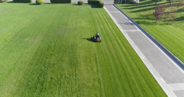Lawn Mowing View Drone Man Mowing Lawn Lawn Mower Lawn — Stock Video