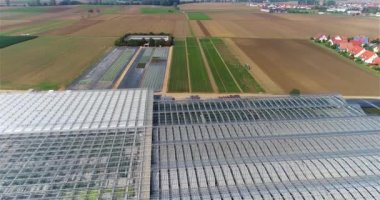 Büyük bir seranın üzerinden uçmak. Seralarda sebze yetiştiriyor. Büyük, modern bir sera. seralar hava görüntüsü.