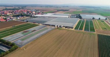 Büyük bir sera kompleksi. Modern seralar üzerinde uçuş. Tarım kompleksi. Büyüyen bitkiler, hava manzarası.