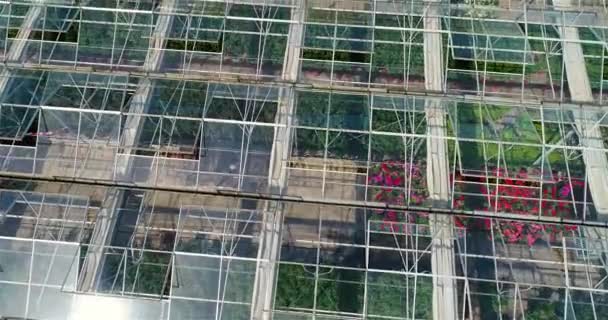 大きな温室の上を花で飛んで 引き込み可能な屋根のある温室 上からの温室ビュー 成長する花 — ストック動画