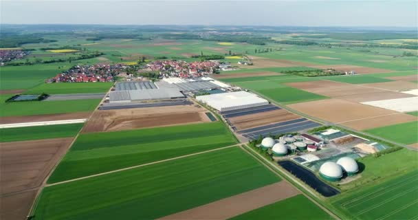 Groot Broeikascomplex Vlucht Moderne Kassen Landbouwcomplex Planten Kweken Vanuit Lucht — Stockvideo