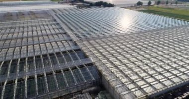 Büyük bir seranın üzerinden uçmak. Seralarda sebze yetiştiriyor. Büyük, modern bir sera. seralar hava görüntüsü.