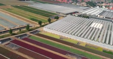 Büyük bir seranın üzerinden uçmak. Seralarda sebze yetiştiriyor. Büyük, modern bir sera. seralar hava görüntüsü.