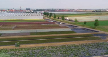 Büyüyen çiçekler ve süs bitkileri için büyük bir ticari sera.