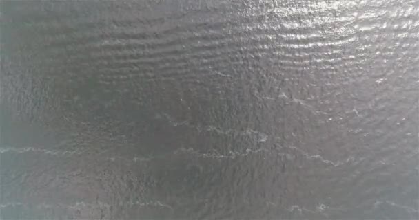 Devriye Botu Daireler Çiziyor Devriye Botunun Üst Görüntüsü Nehirde Hızlı — Stok video
