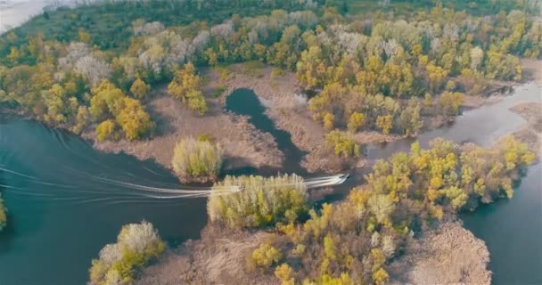 Devriye Botları Bir Dan Görüldüğü Gibi Nehir Boyunca Ilerliyorlar Nehirde — Stok video