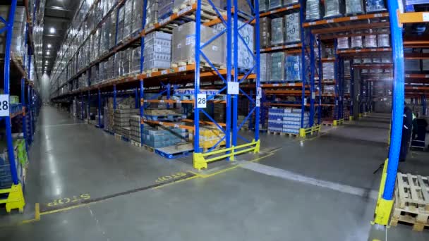 Large Warehouse Factory General Plan Work Factory Warehouse General Plan — Video